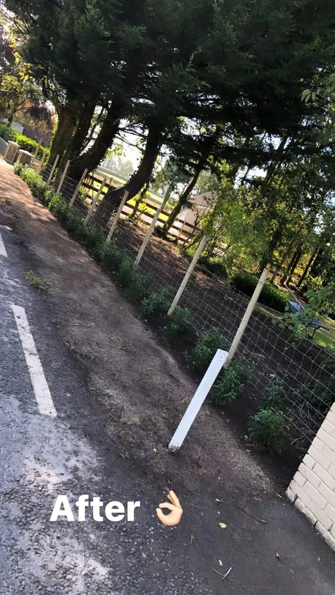 Mini Digger Works / Hire - Image 4