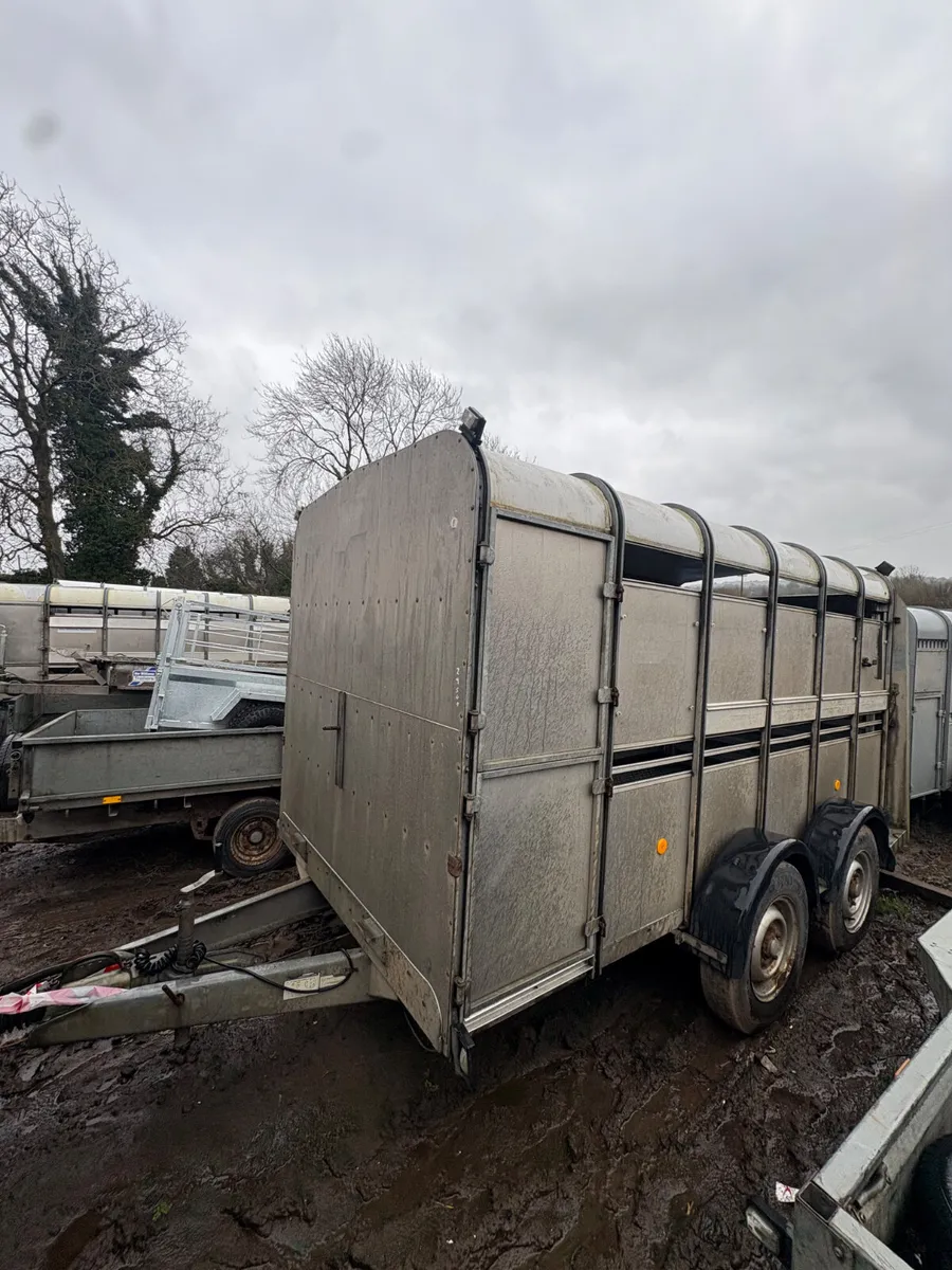 Ifor Williams 12ft Cattle trailer - Image 1