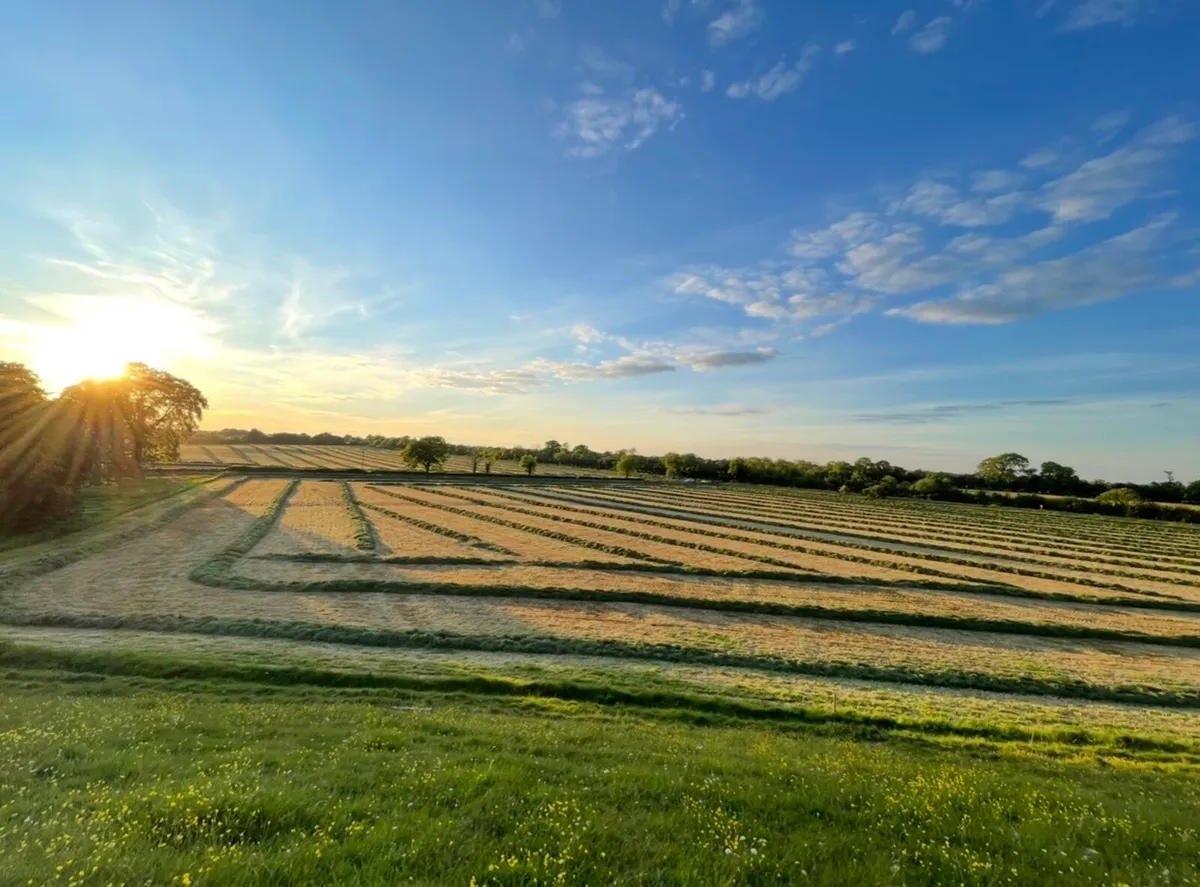 Dairy Farm Milker/worker