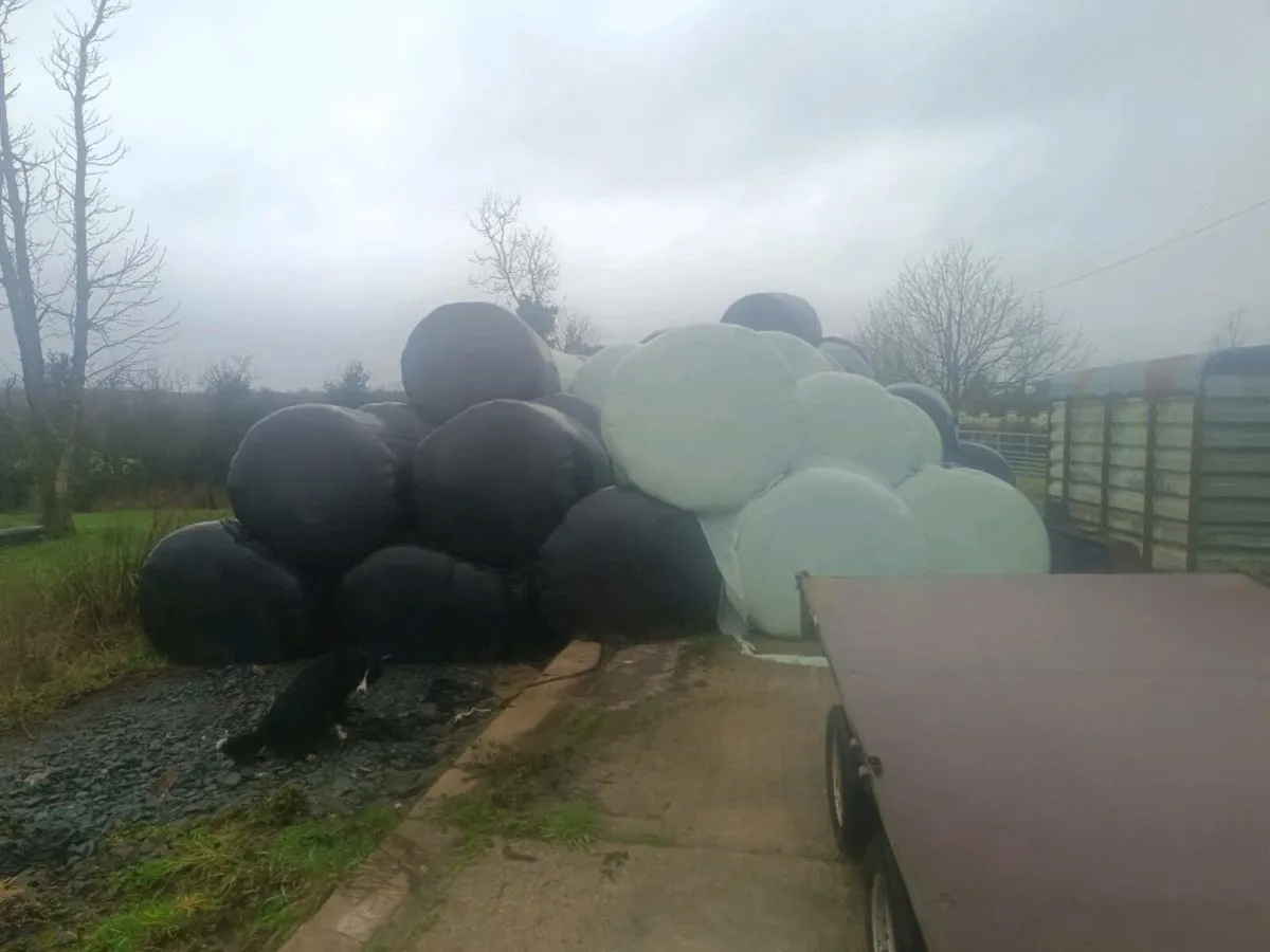 Round bales silage - Image 1