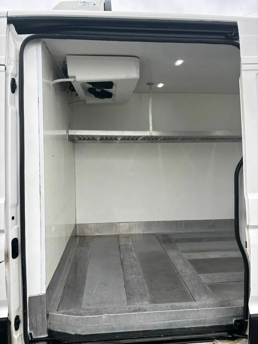 Man TGE 2021 - Image 4