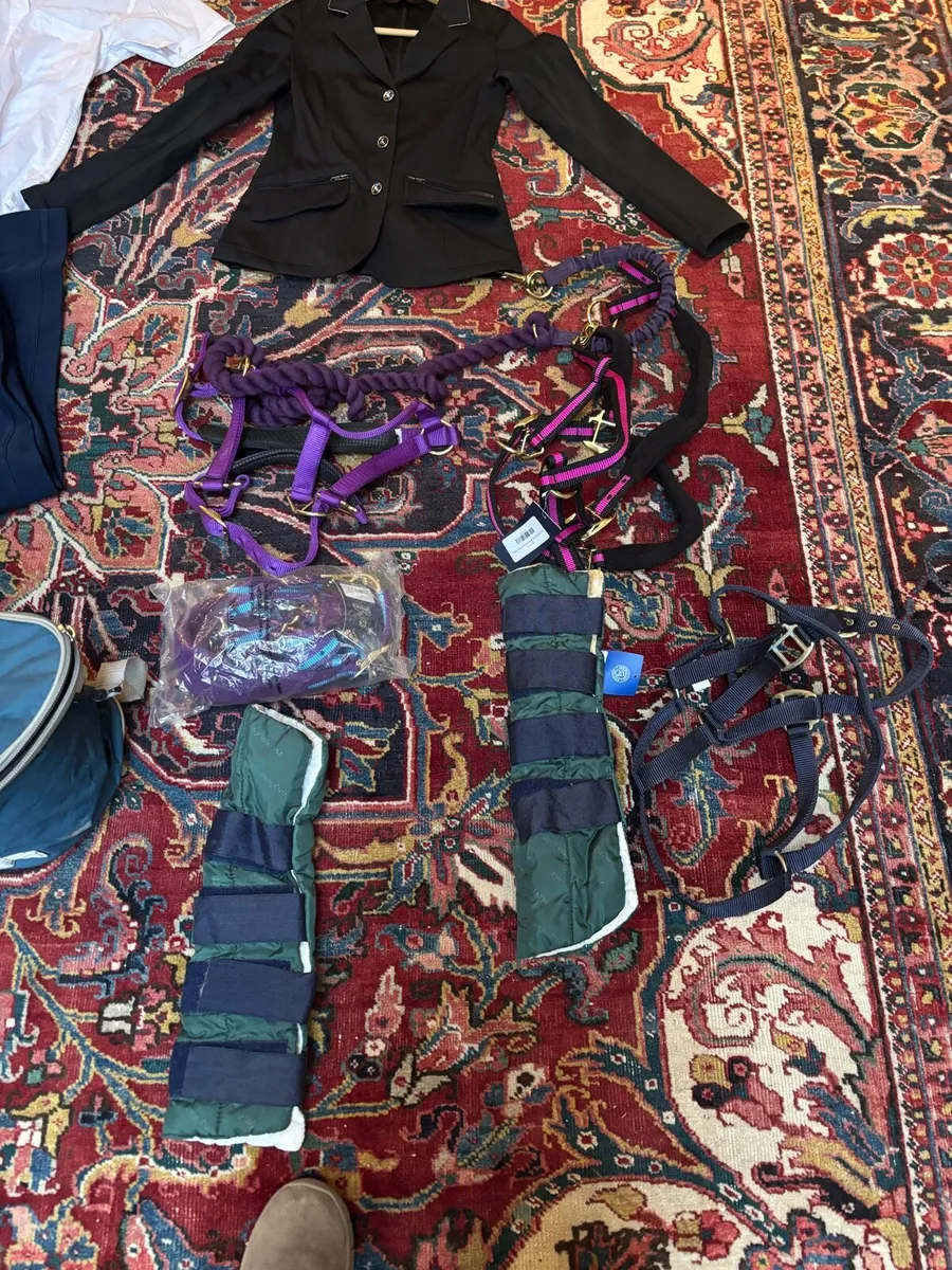 Horse riding clothing and equipment - Image 3