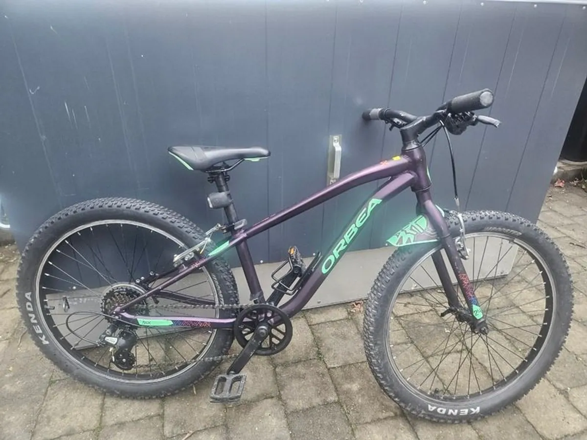 Orbea Mx24 Dirt Mountain Bike - Image 1