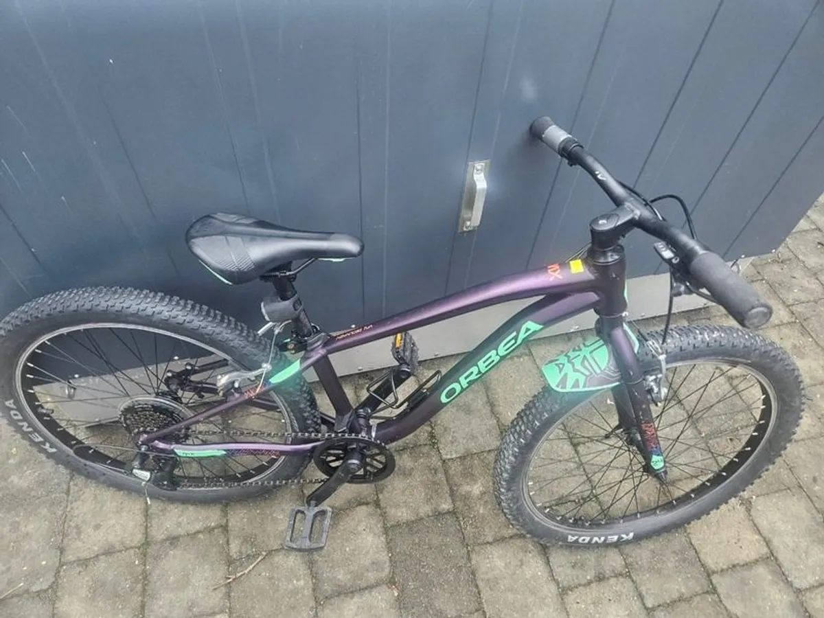 Orbea Mx24 Dirt Mountain Bike - Image 2