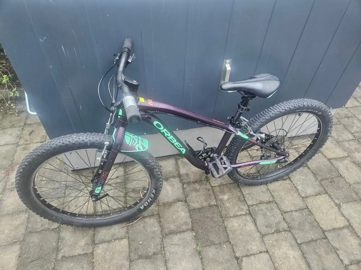 Orbea Mx24 Dirt Mountain Bike - Image 3