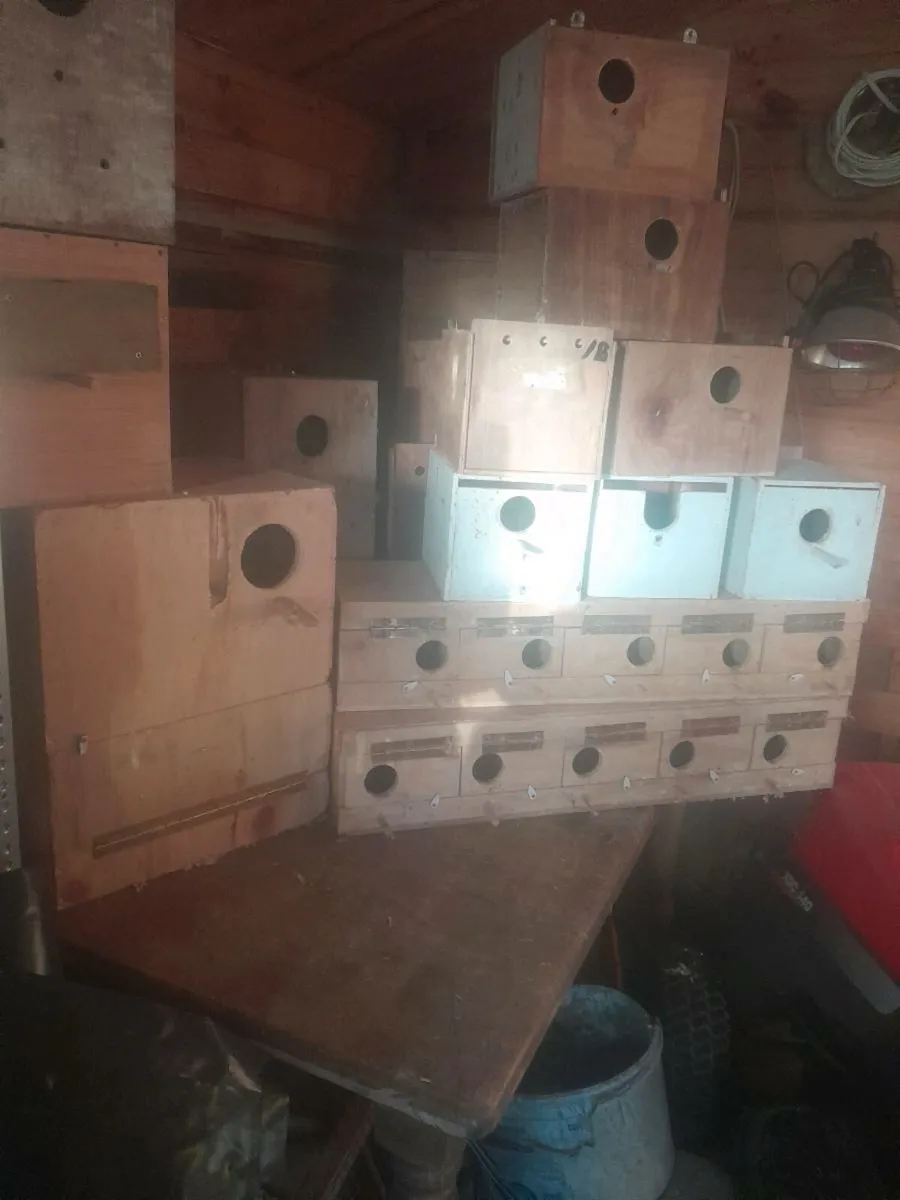Nestboxes - Image 1