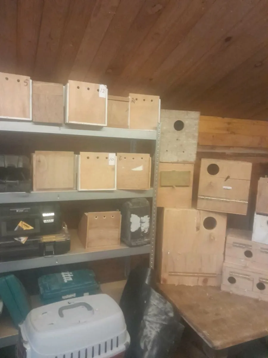 Nestboxes - Image 2