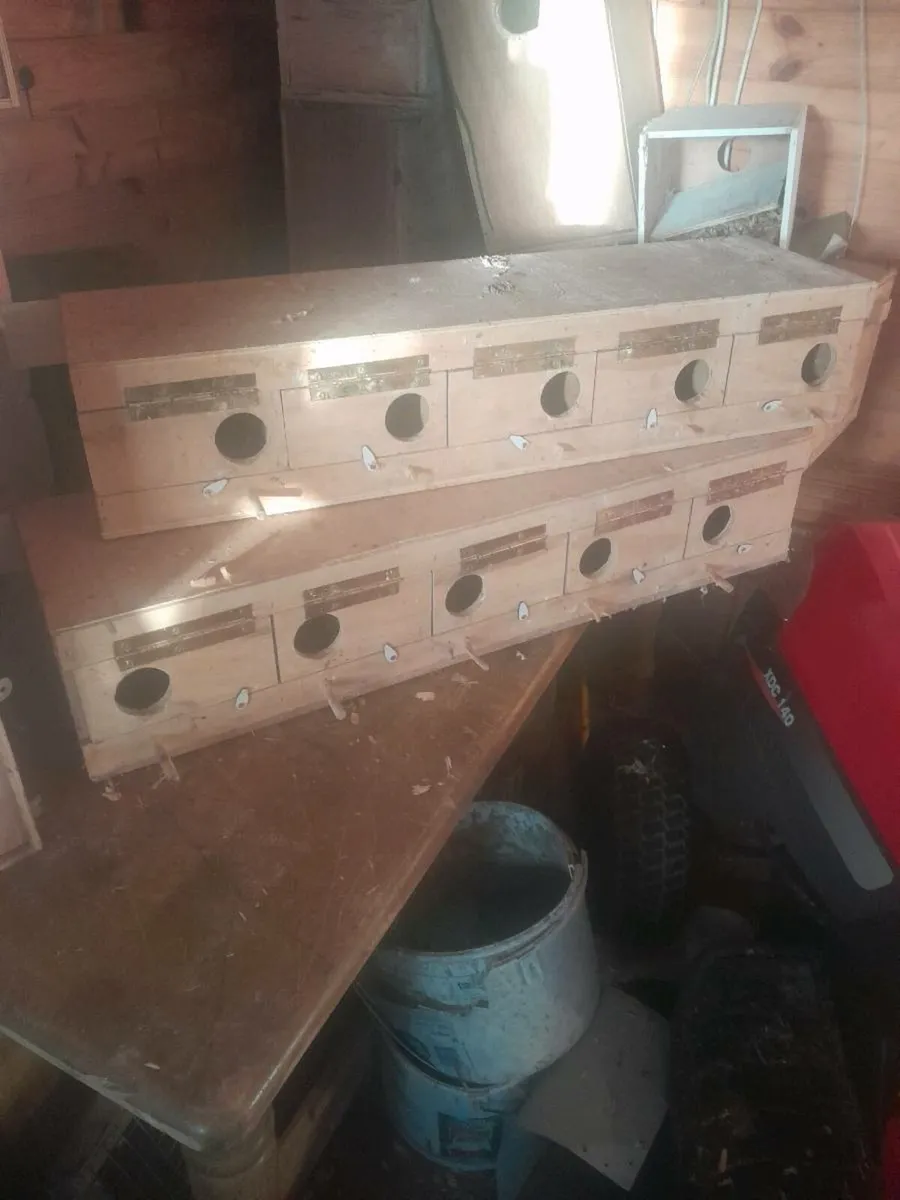 Nestboxes - Image 4