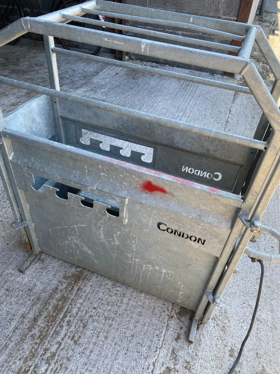 Condon dehorning crate - Image 4