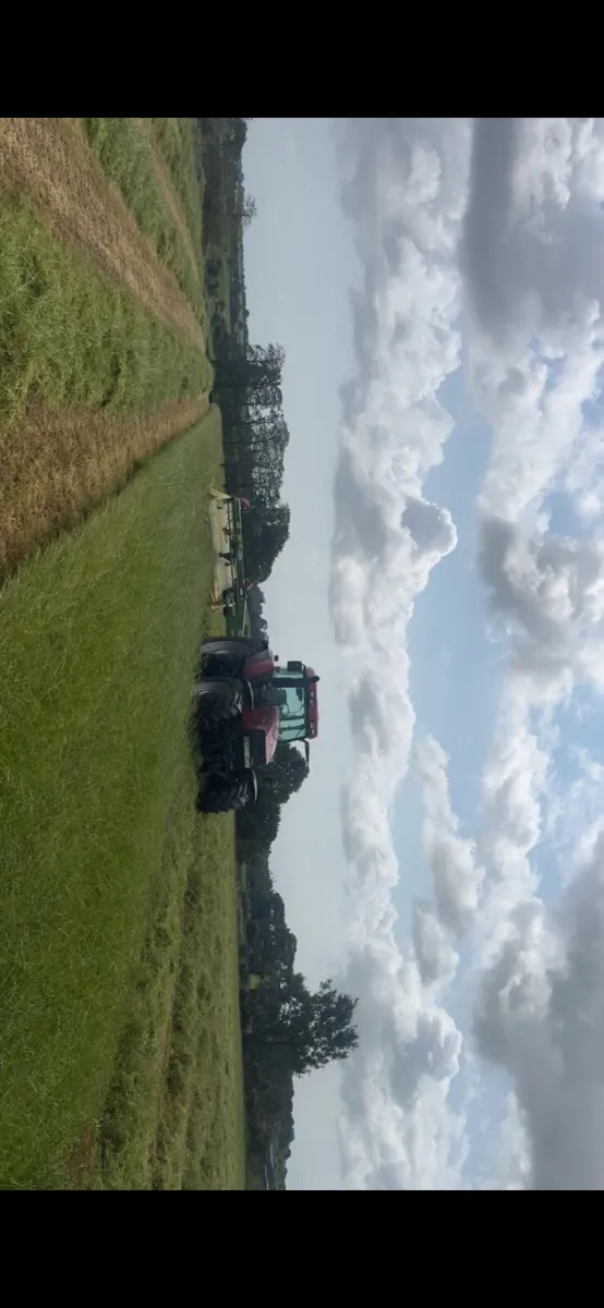 Silage Bales - Image 4