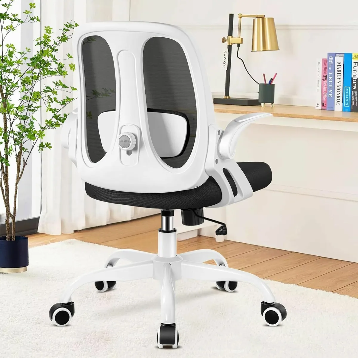 Office Chair Ergonomic Desk with Adjustable - Image 1