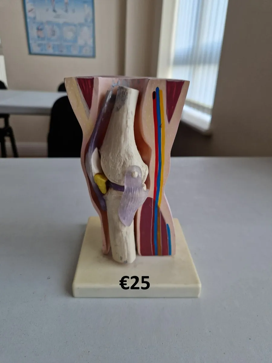 Clinic equipment for sale - Image 4