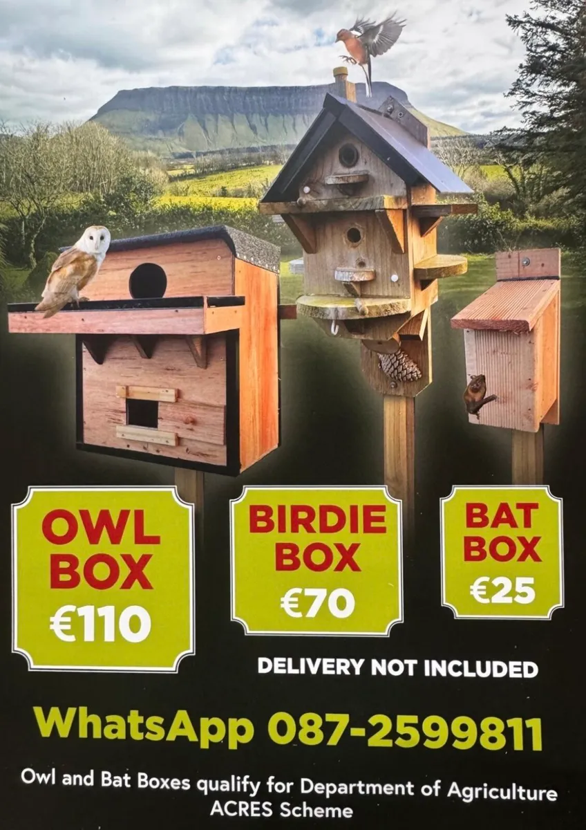 Owl, Bat and Bird boxes, ACRES scheme approved