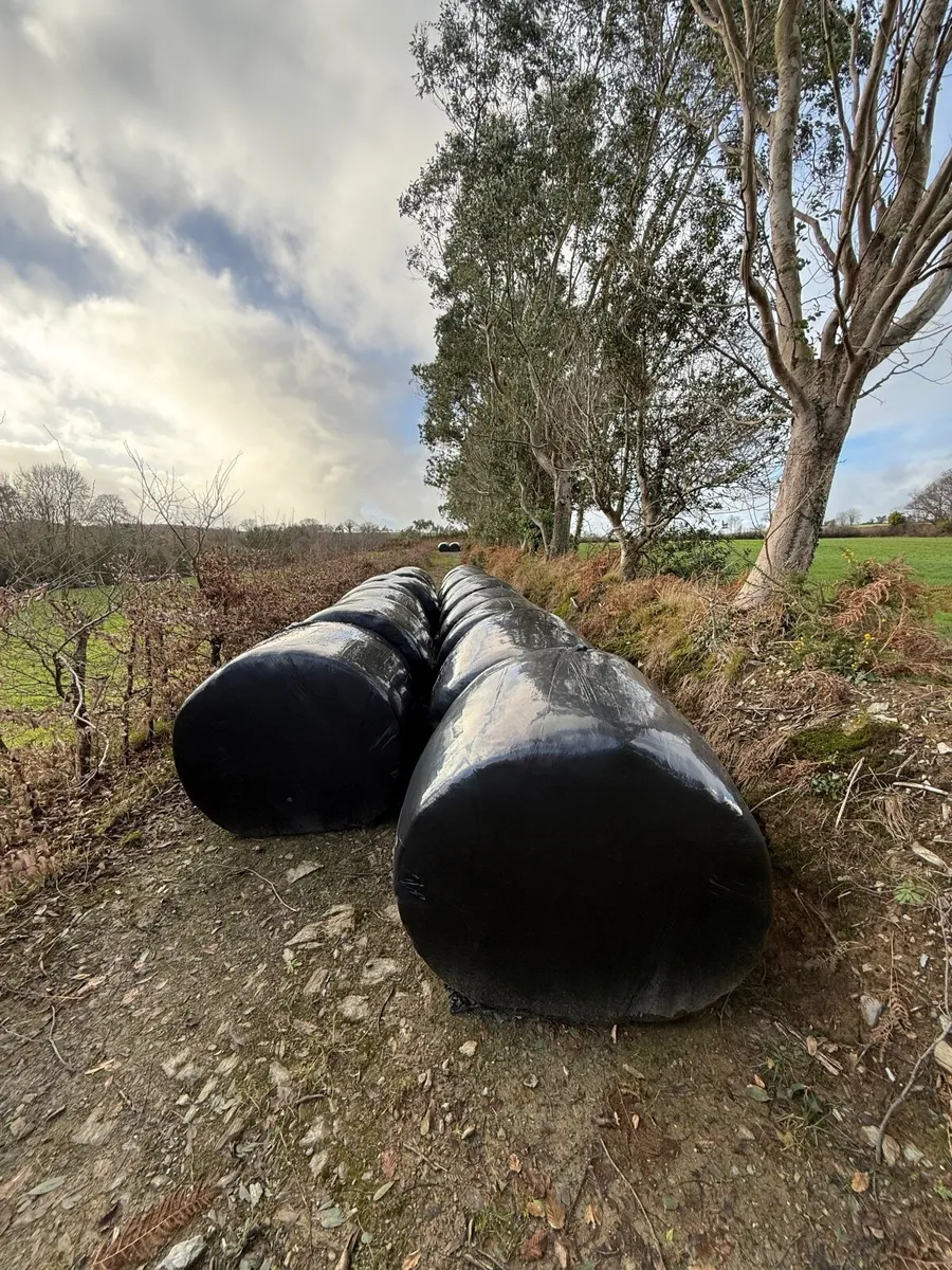 Hay and Silage - Image 4