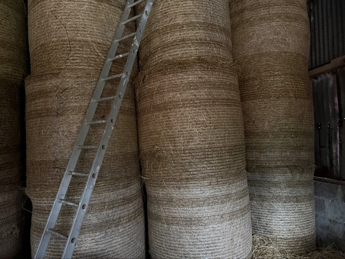 Hay and Silage - Image 1