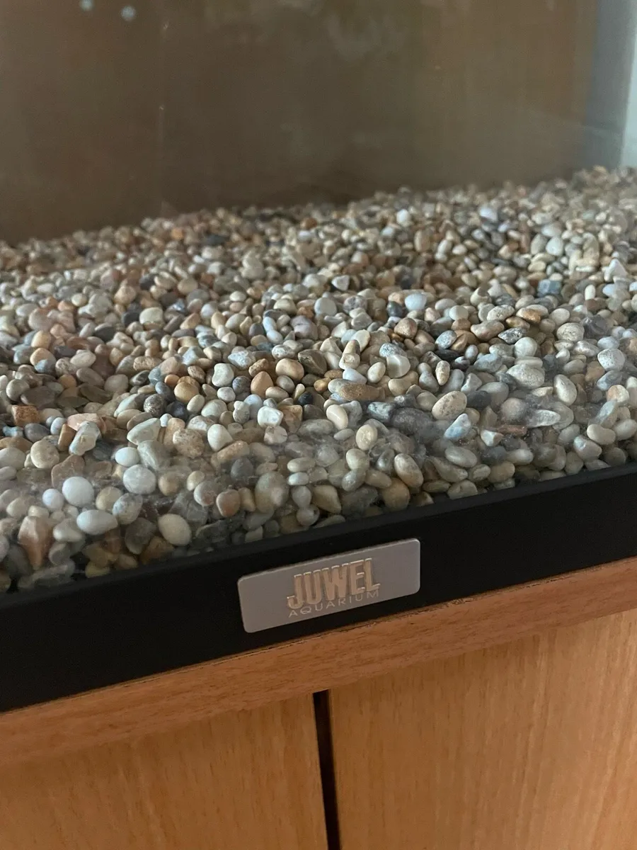 Aquarium Juwel - Image 2