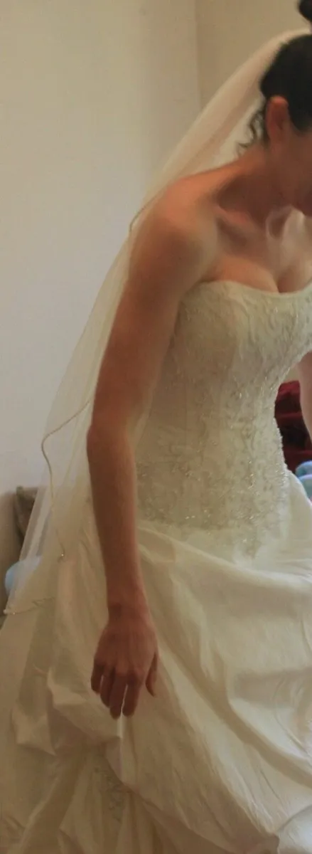 Maggie Soterro Wedding Dress - Image 2