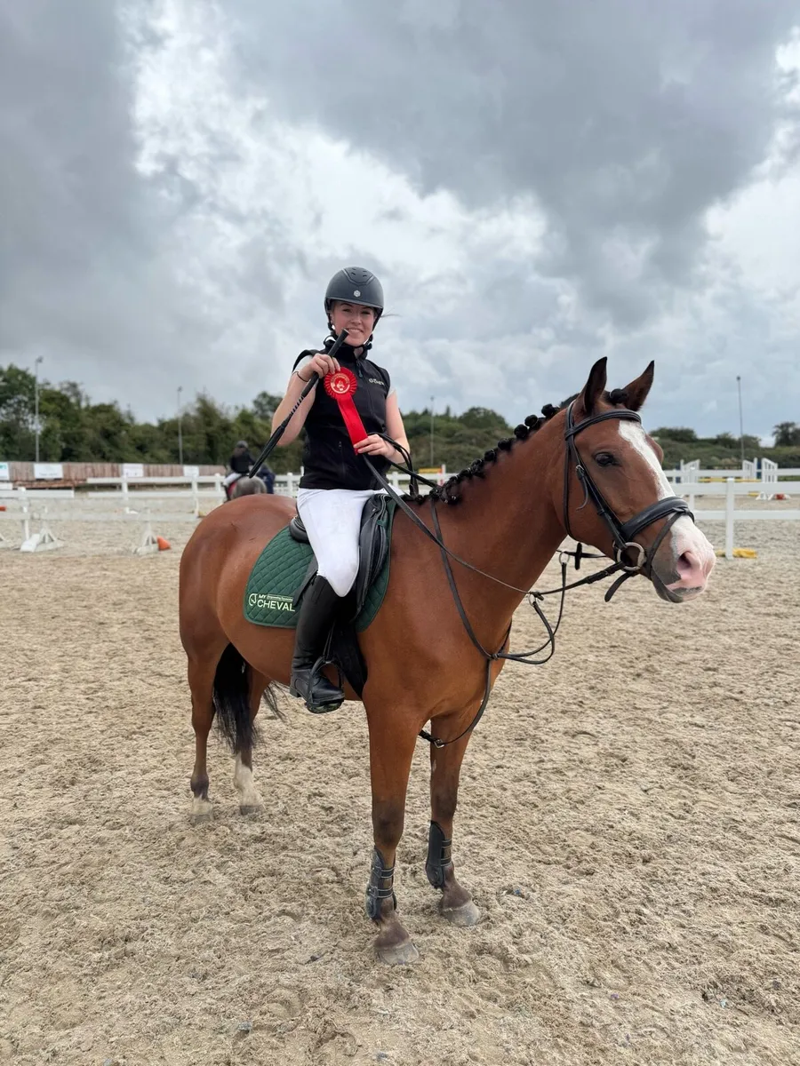 7-Year-Old 14.2hh Genuine Kids Pony - Image 1