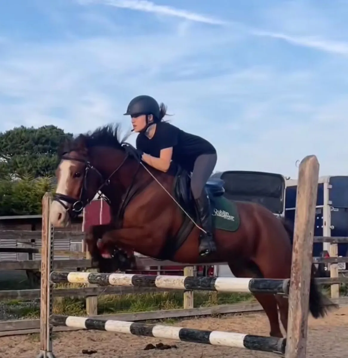 7-Year-Old 14.2hh Genuine Kids Pony - Image 2