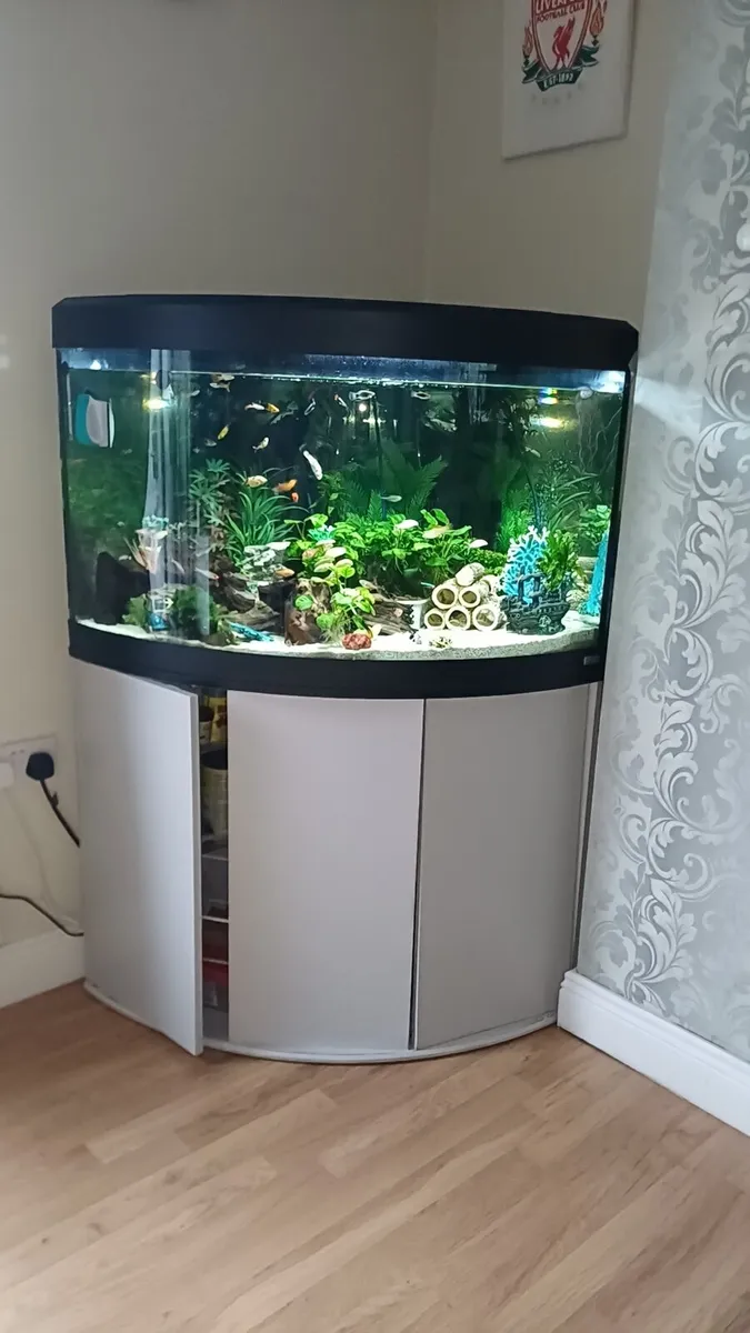 Fluval 190 litre fish tank - Image 1