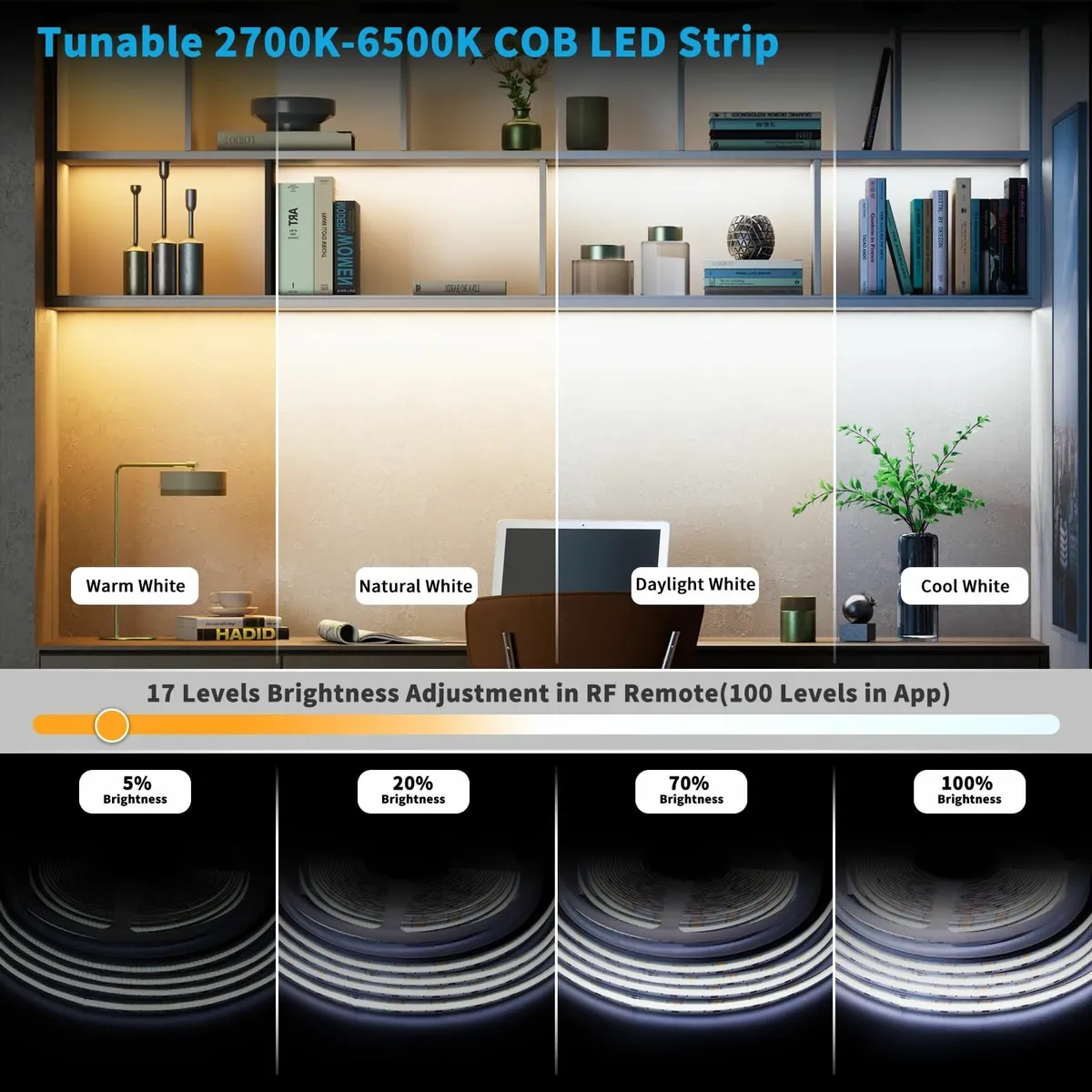 LED Strip White CCT Tunable 10m Kit Dimmable - Image 2