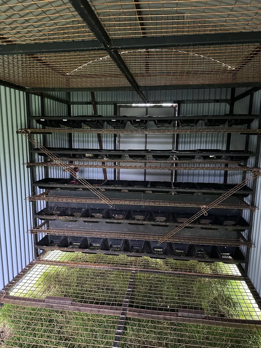 Mobile Chicken Trailer/Shed - Image 3