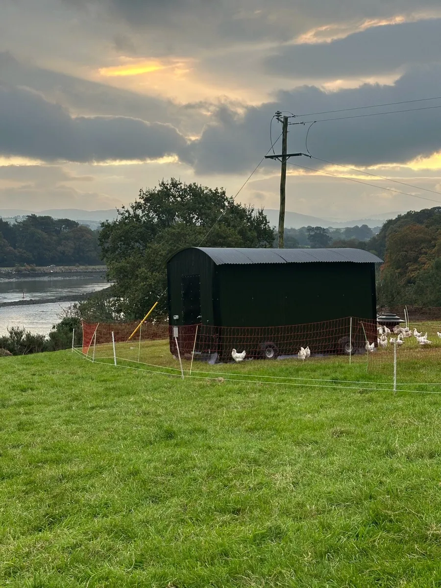 Mobile Chicken Trailer/Shed - Image 4