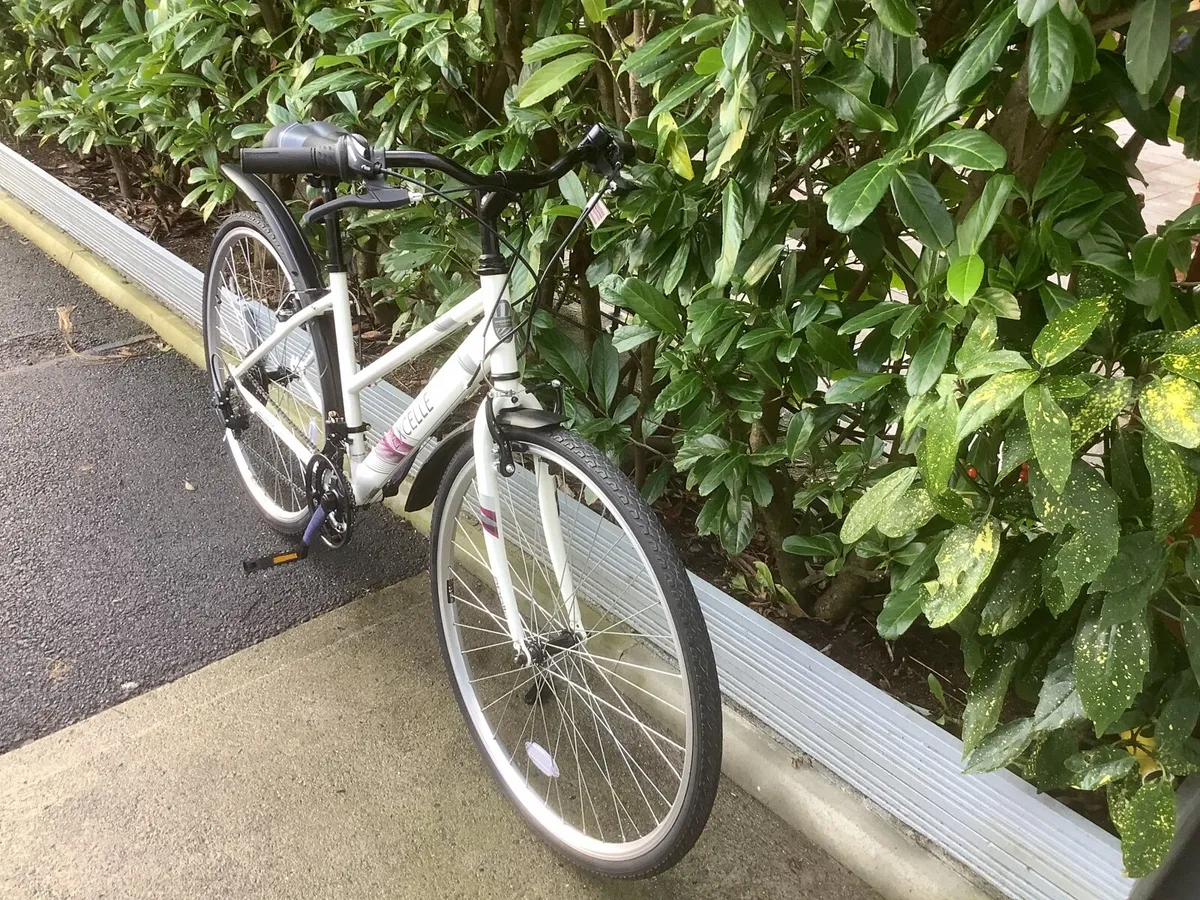 New Bike - unused/ unwanted present - Image 2