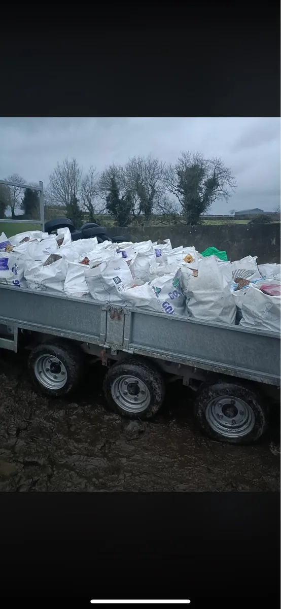 Bags of sticks - Image 2