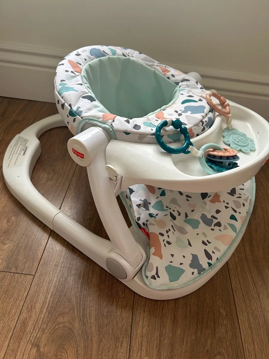 Fisher-Price Portable Baby Chair - Image 3