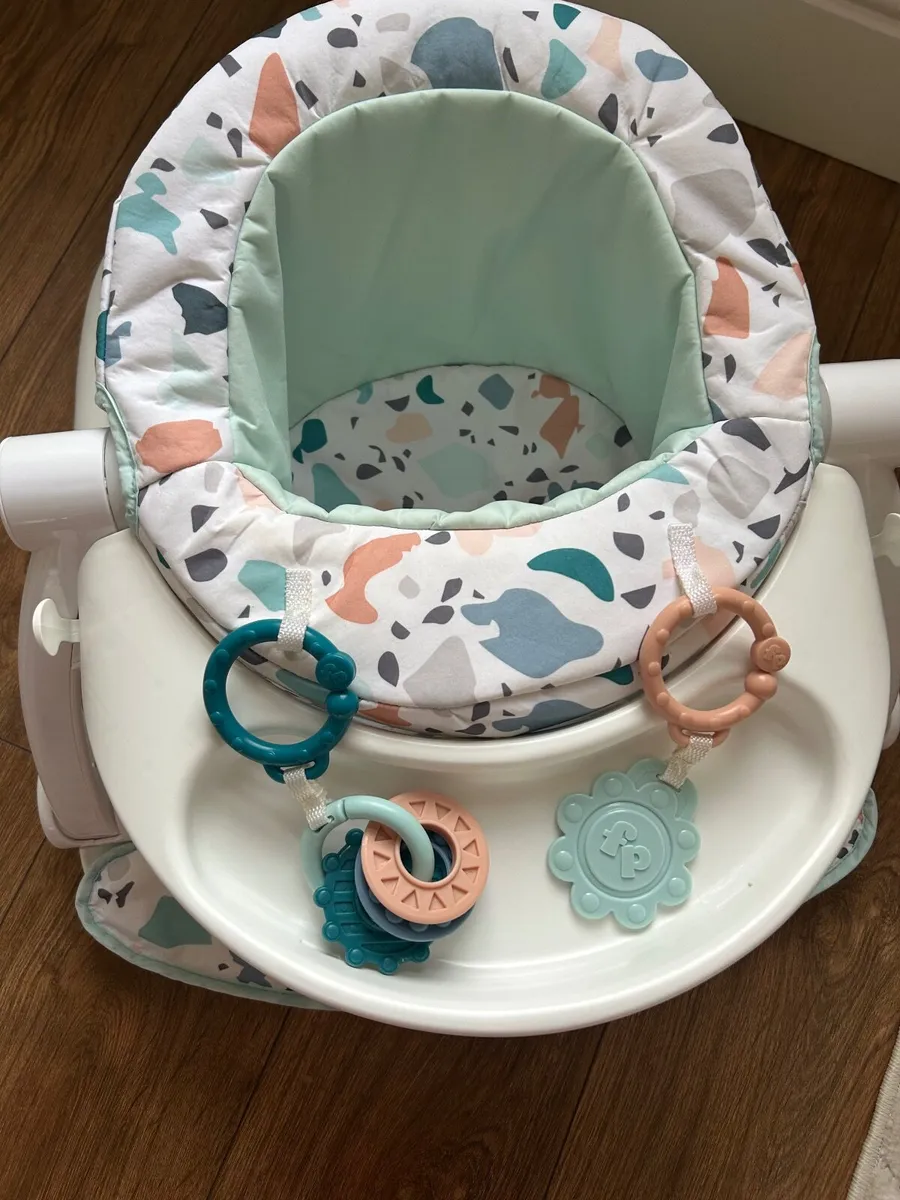 Fisher-Price Portable Baby Chair - Image 2