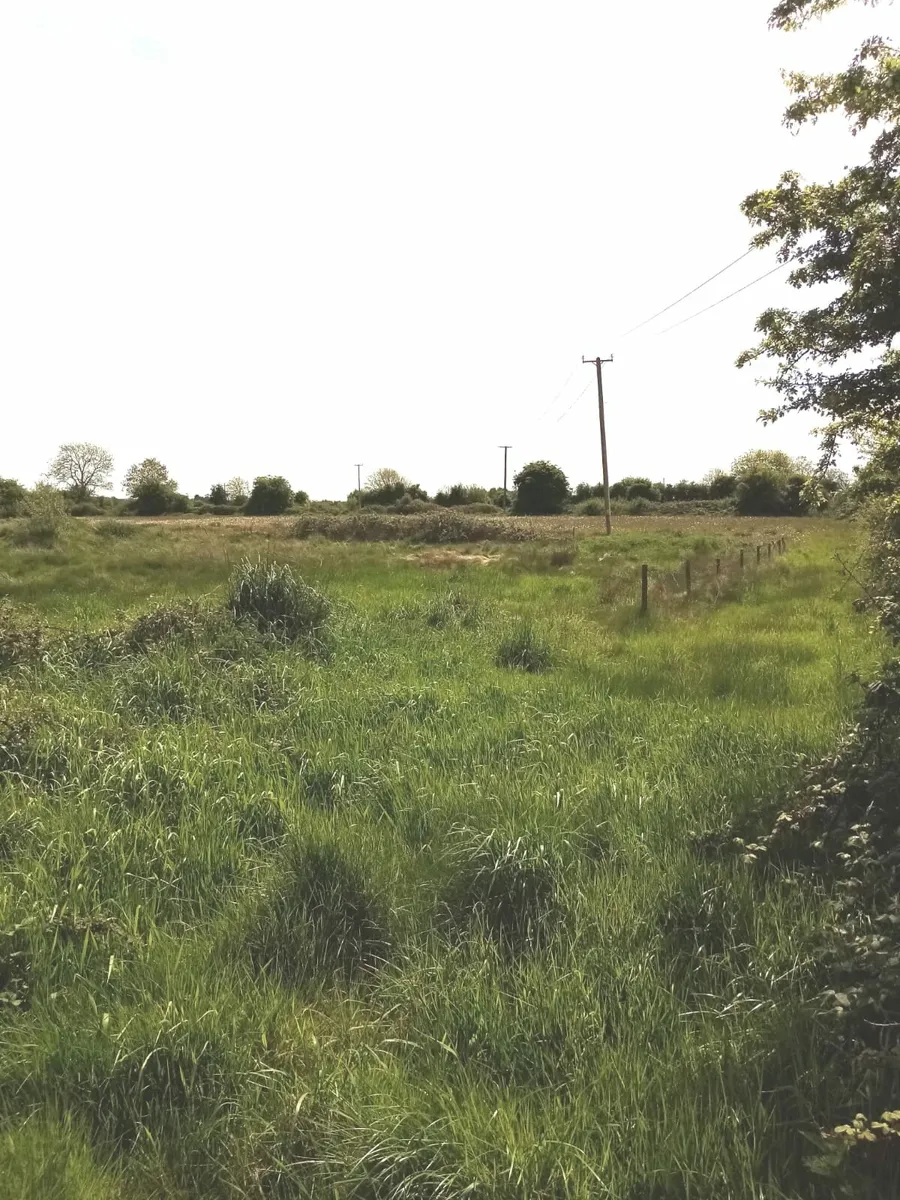 Land for sale - Image 2