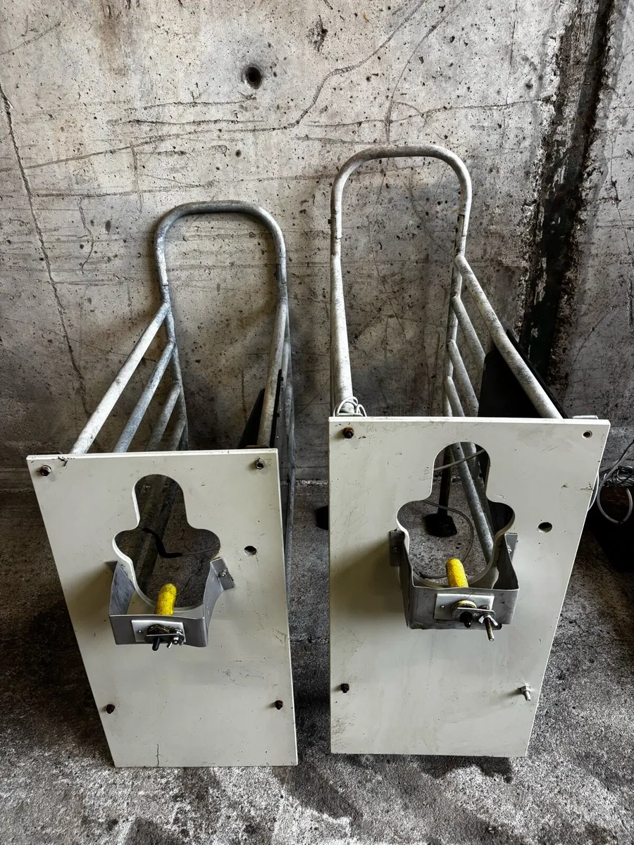 Lely Automatic Calf Feeder - Image 4