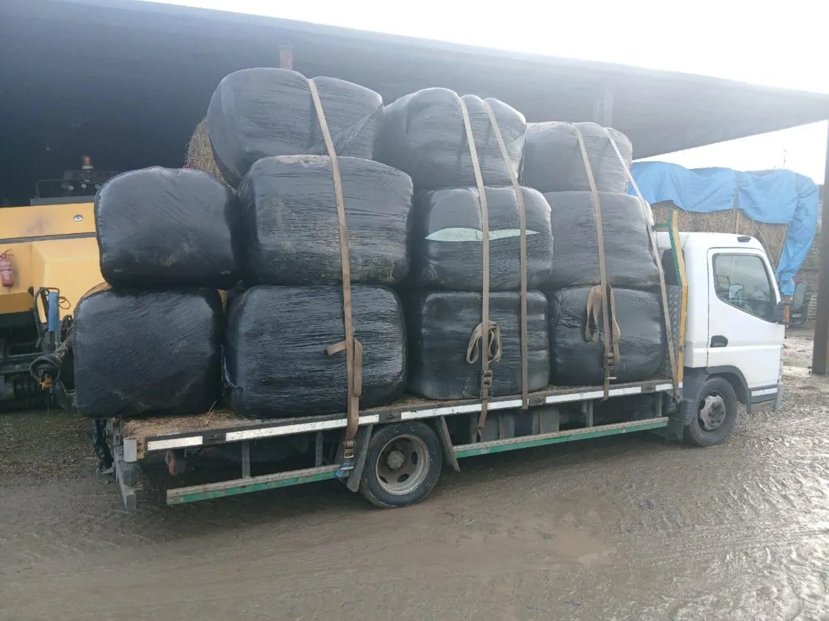 HAY AND HAYLAGE - Image 1