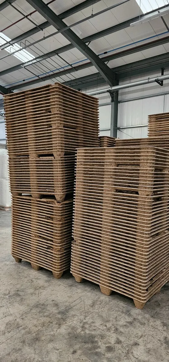 Pallets - Image 2