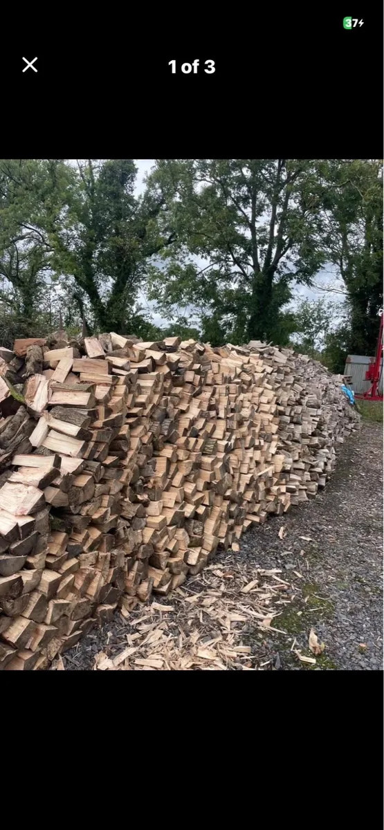 Firewood - Image 3