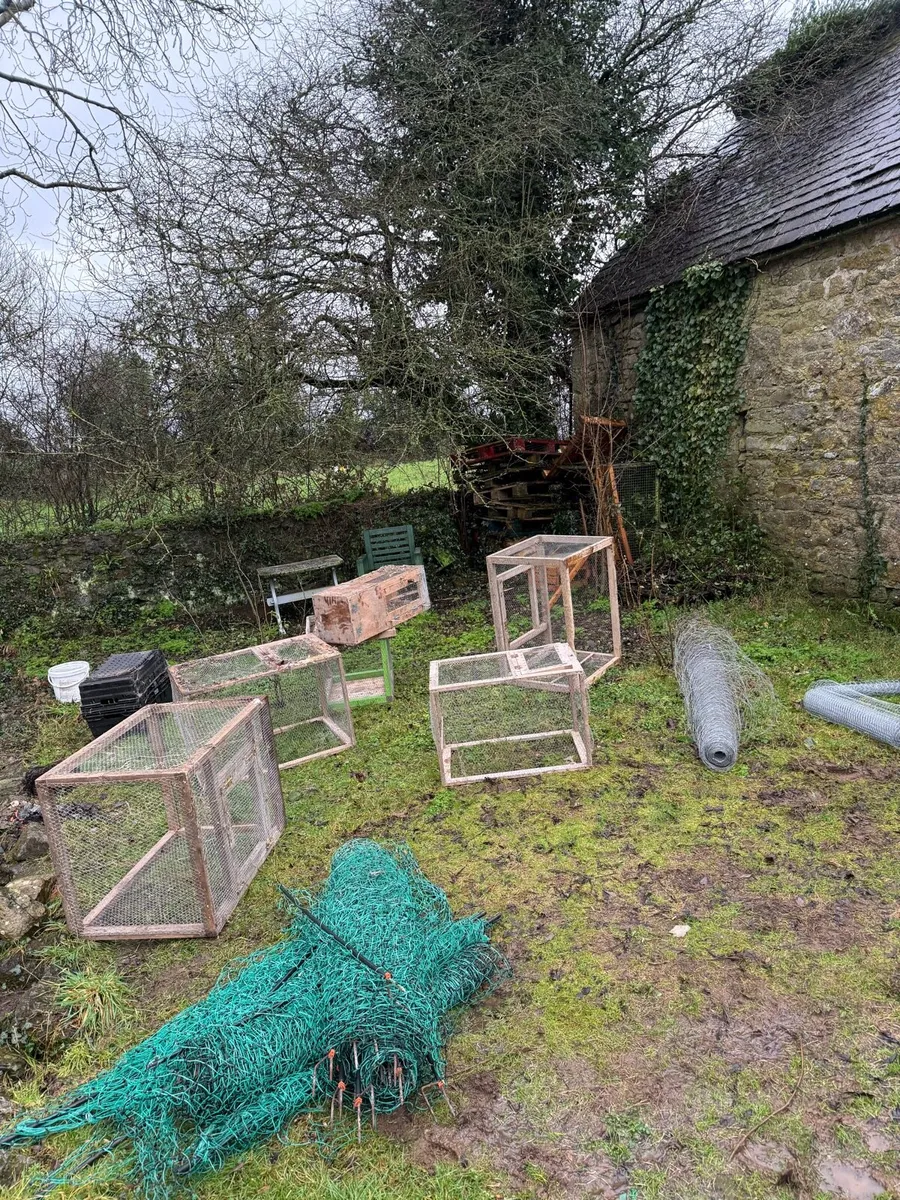 Poultry equipment ( free to pick up ) - Image 1