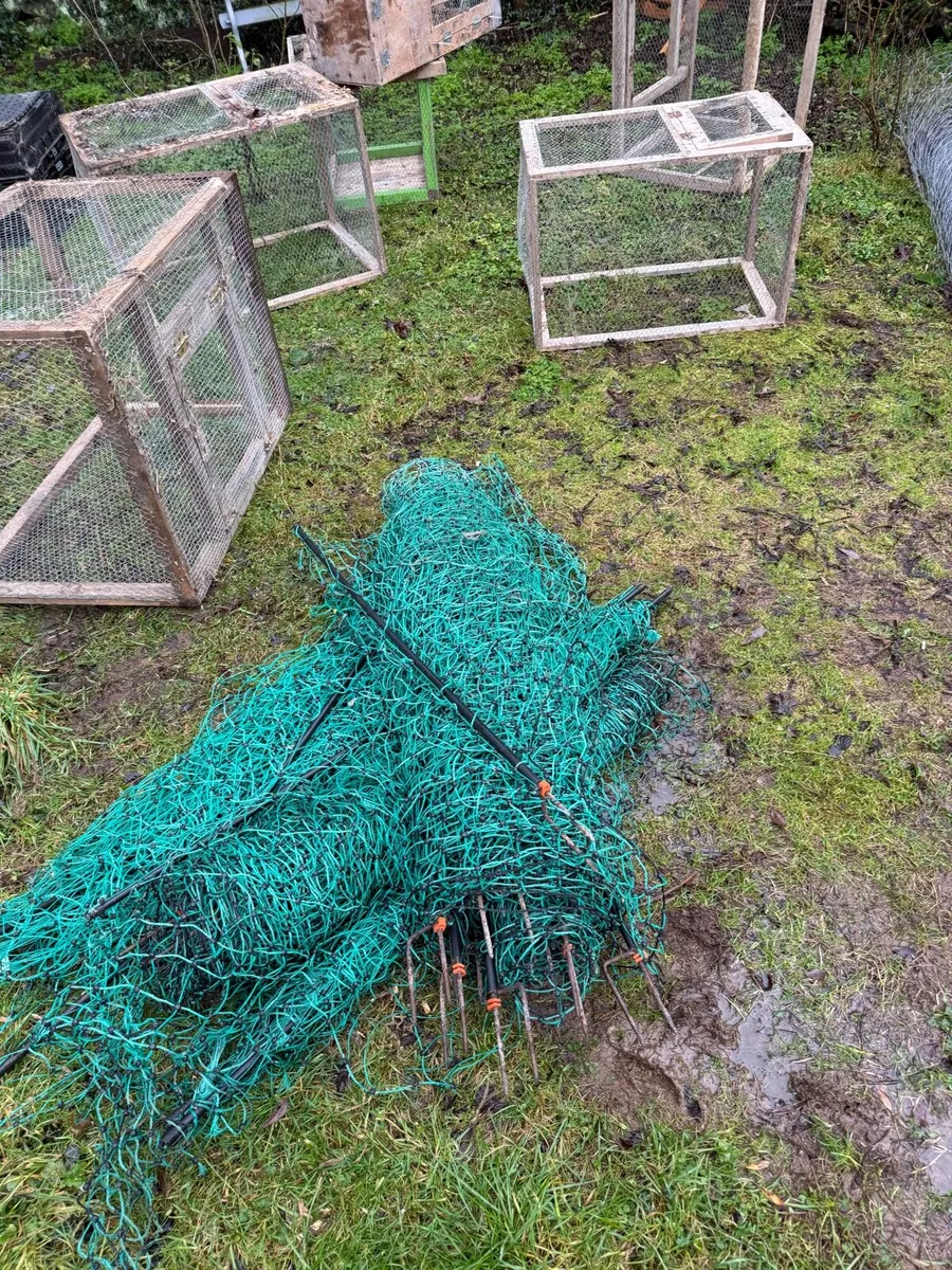 Poultry equipment ( free to pick up ) - Image 2