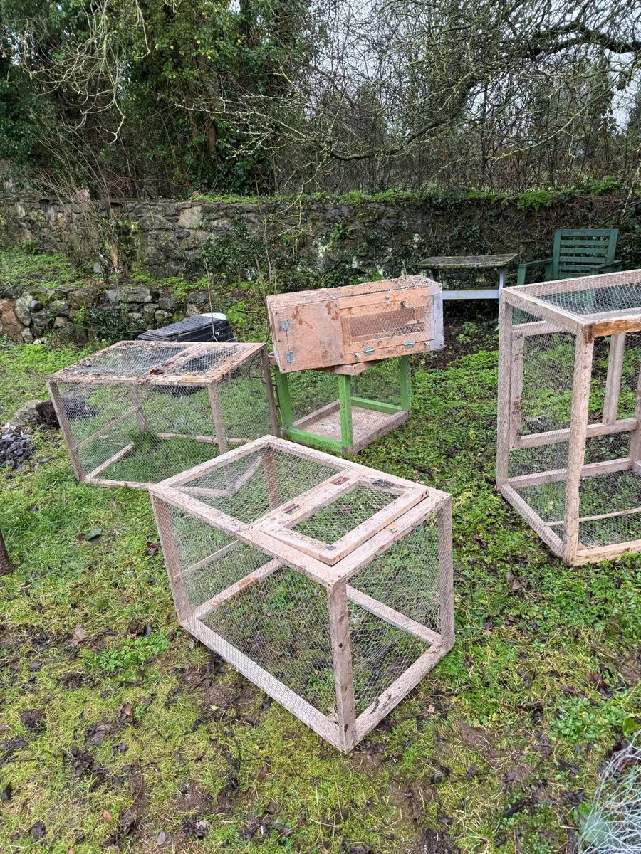 Poultry equipment ( free to pick up ) - Image 3