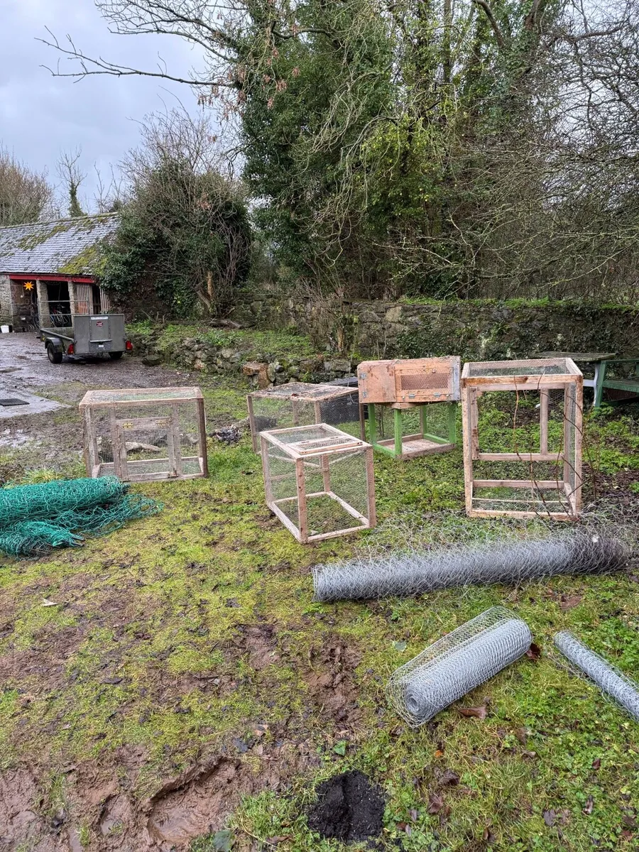 Poultry equipment ( free to pick up ) - Image 4