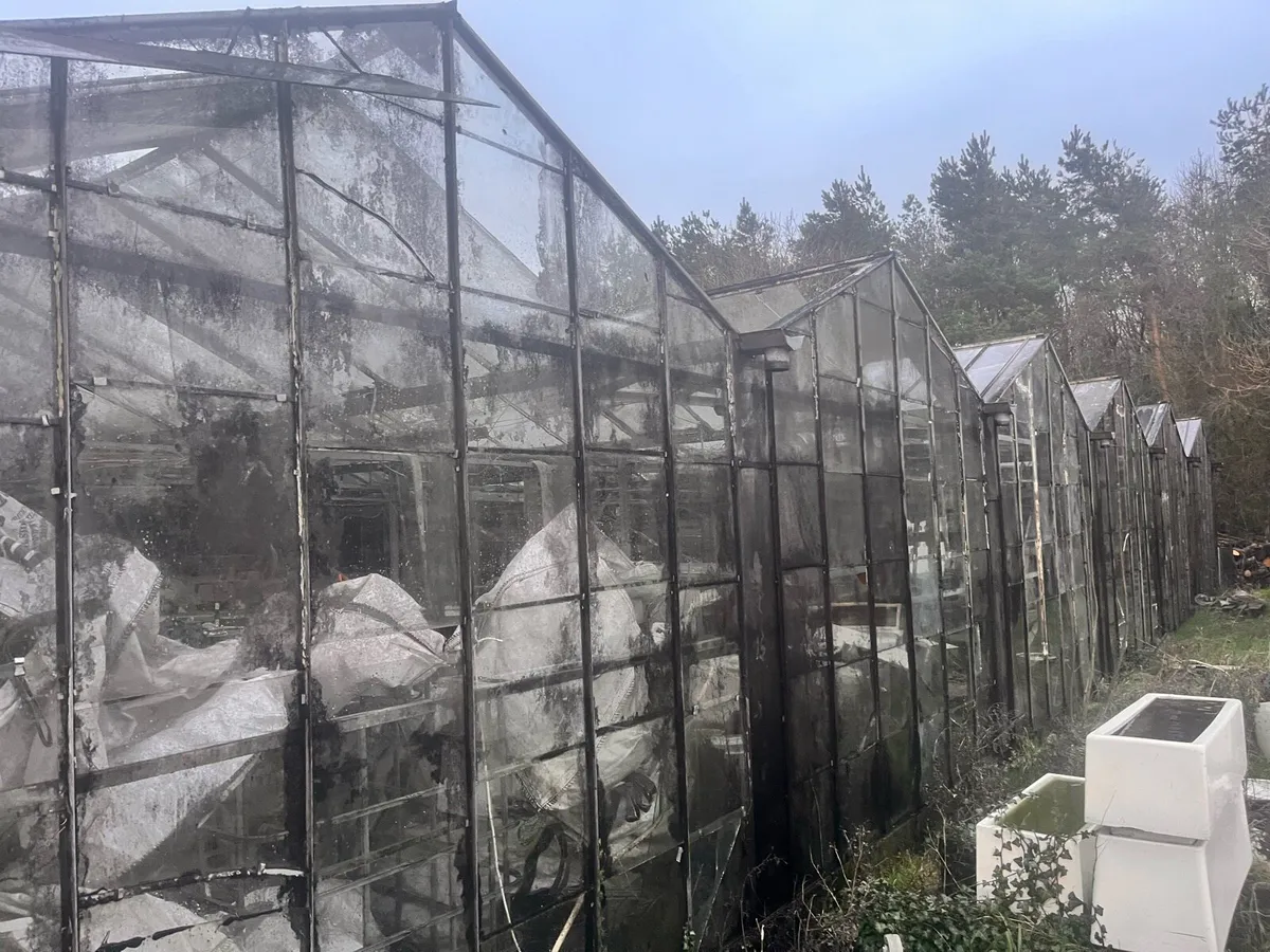 Glasshouse / glasshouse - Image 1