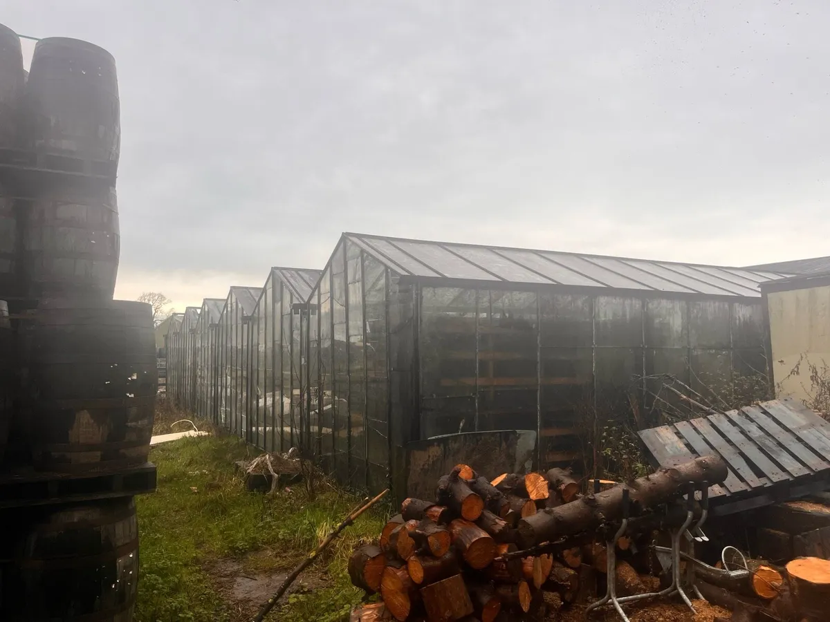 Glasshouse / glasshouse - Image 2