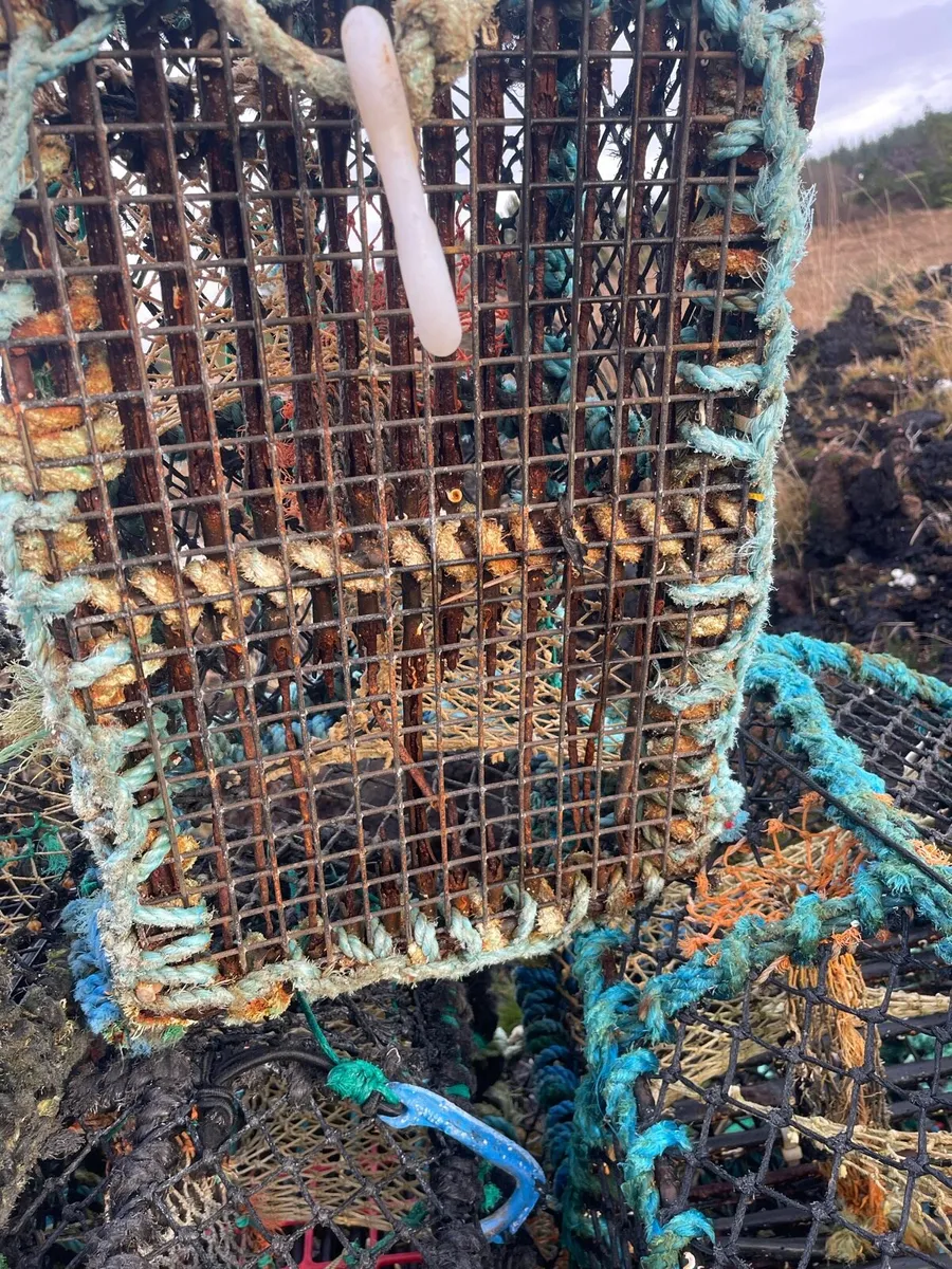 Lobster pots - Image 4
