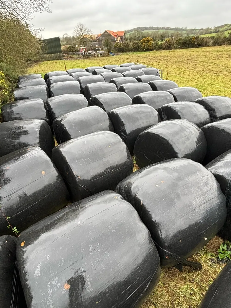 Quality bales for sale - Image 2