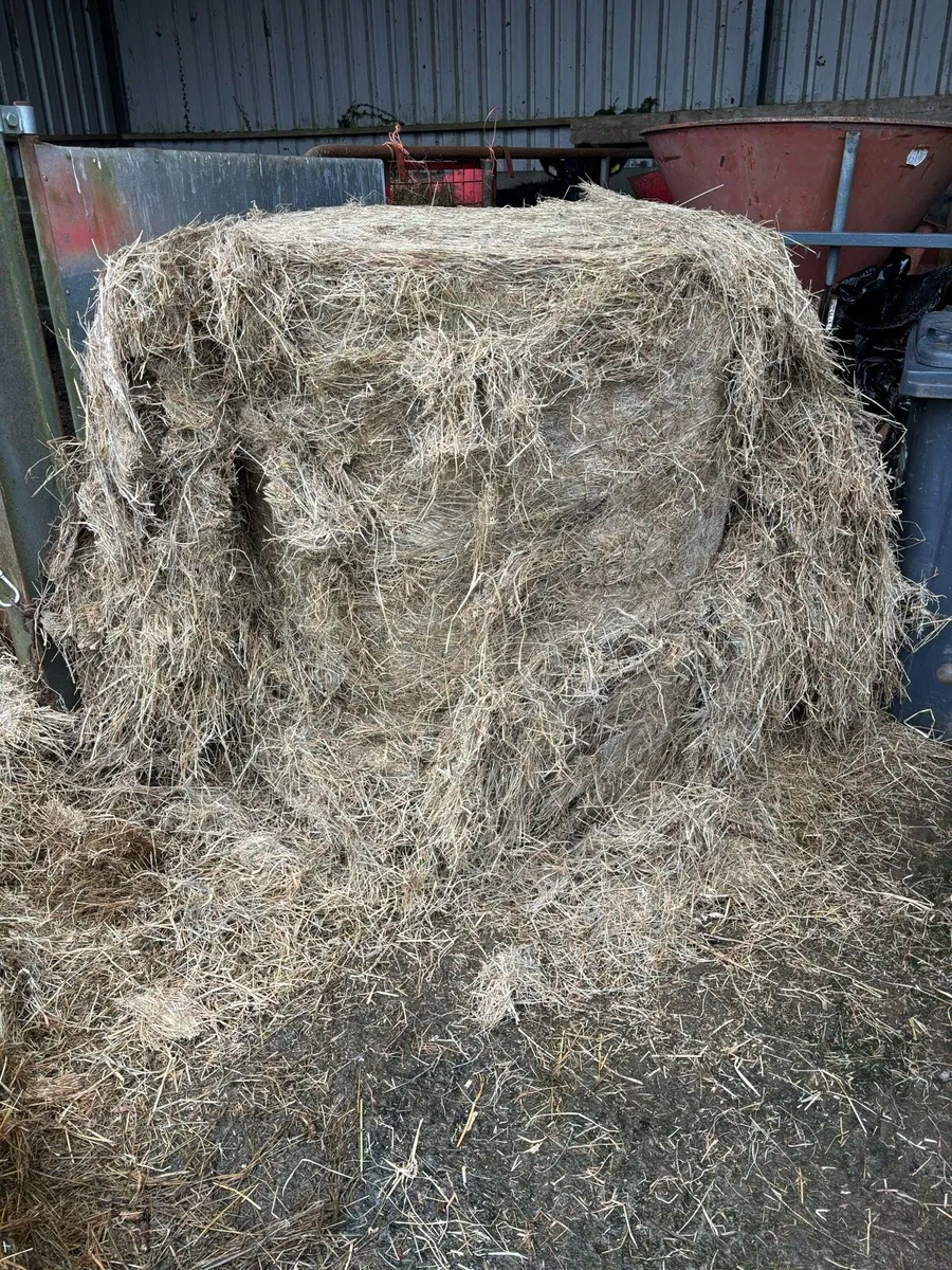 Quality bales for sale - Image 4
