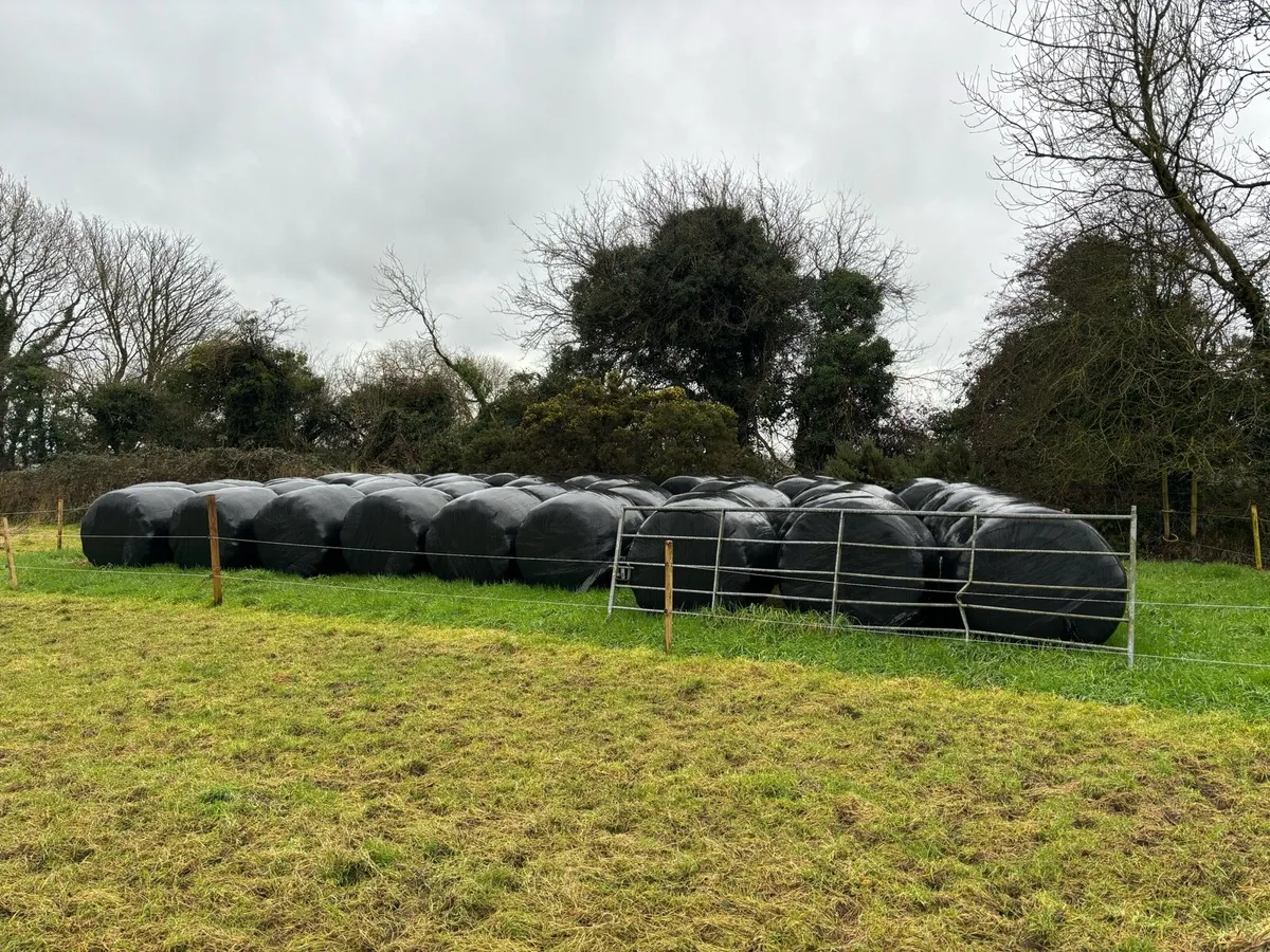 Quality bales for sale - Image 1