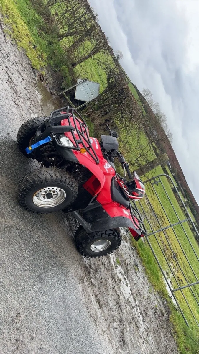 2011 Honda 250 - Image 3