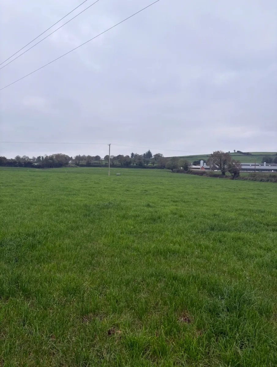 Land to rent Broadford - Image 3