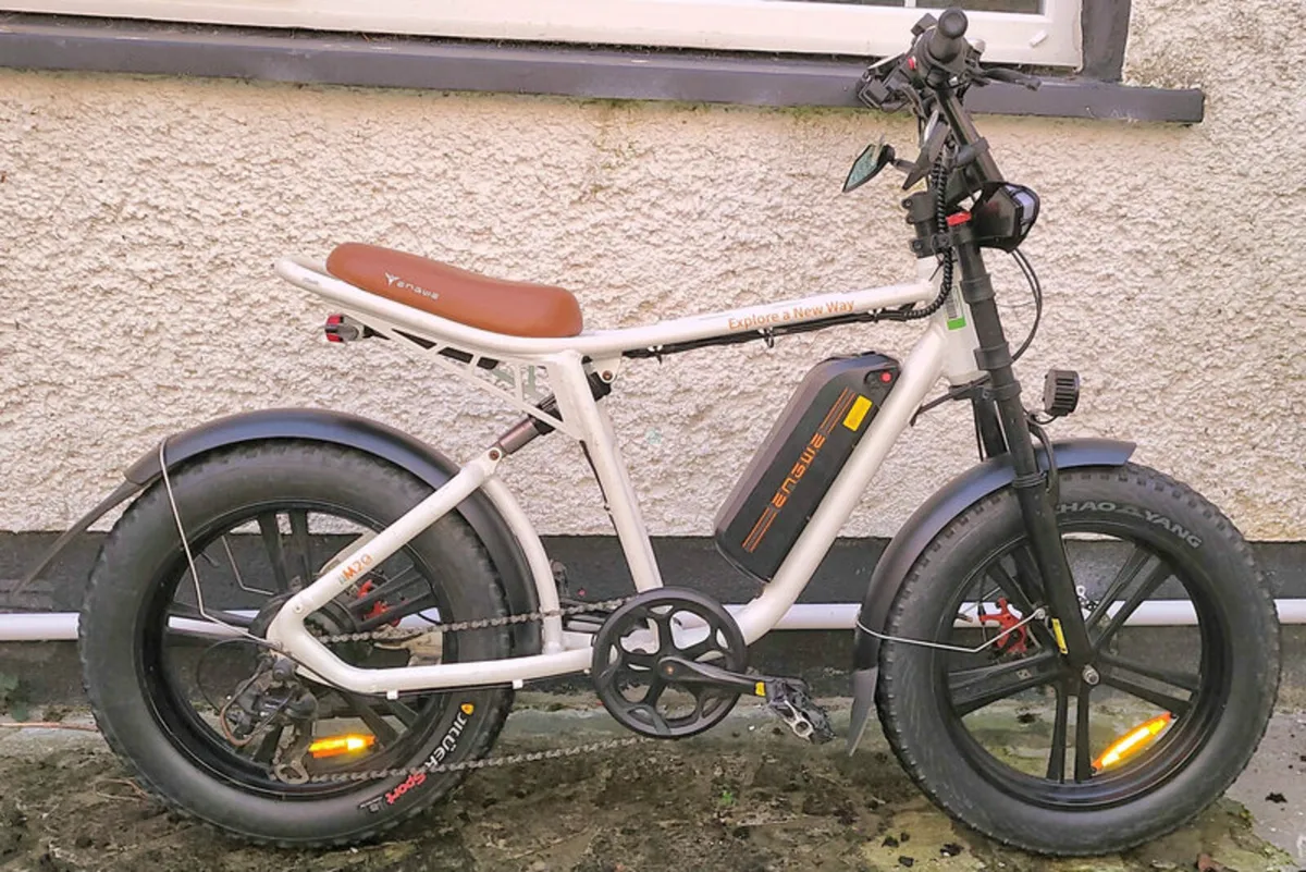 Electric Bicycle 750W - Image 1