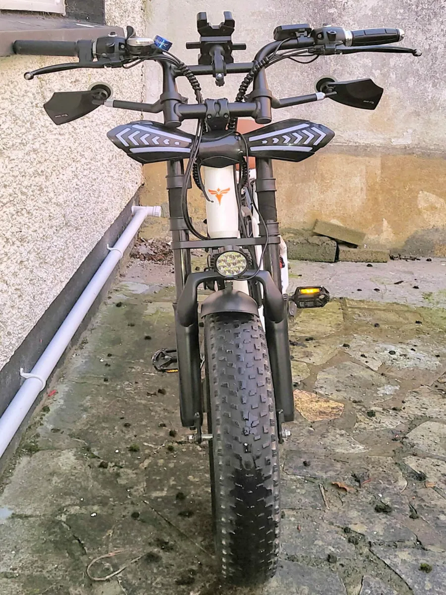 Electric Bicycle 750W - Image 3